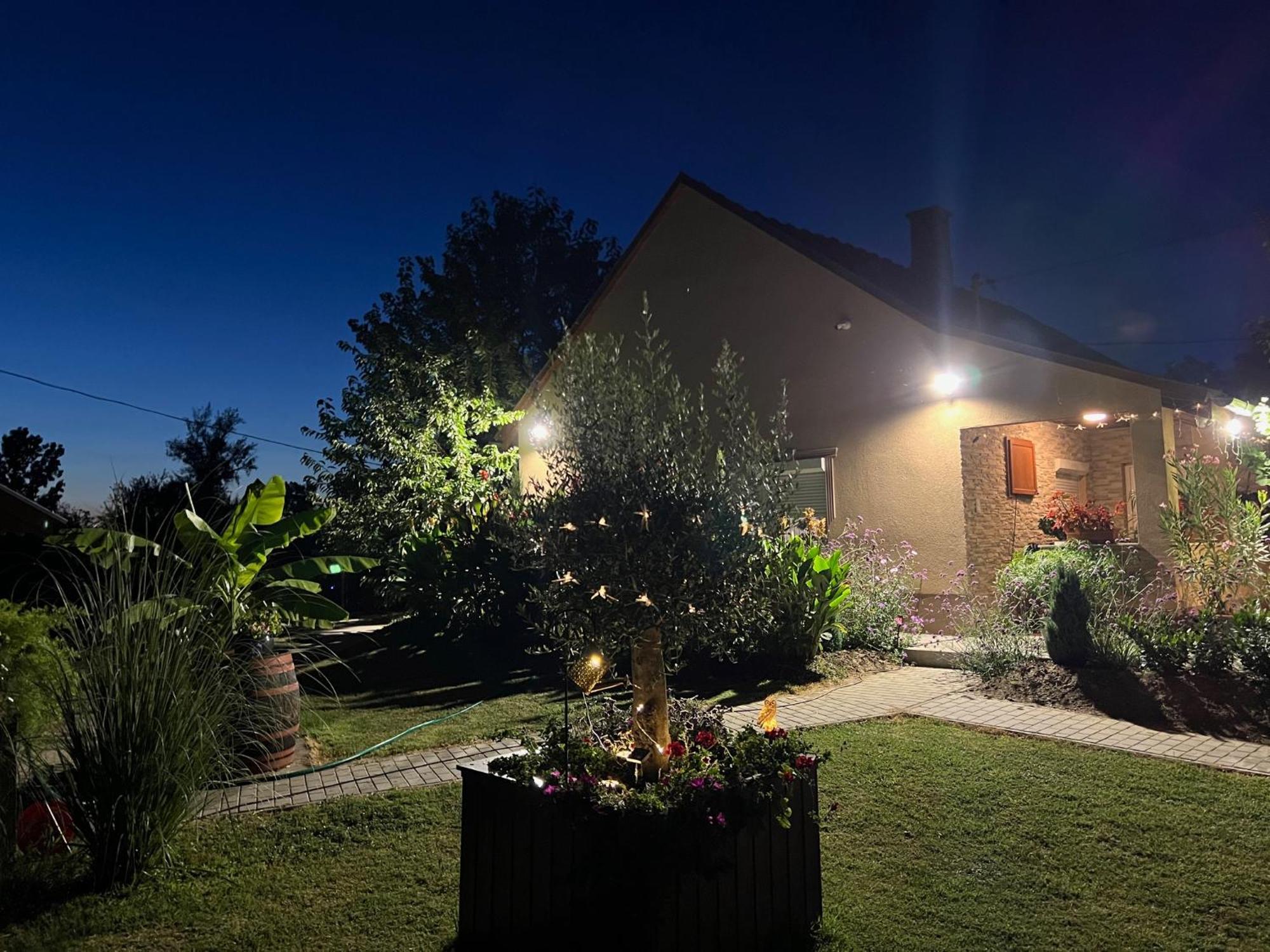 Arany Vendeghaz Villa Szarvas Exterior photo